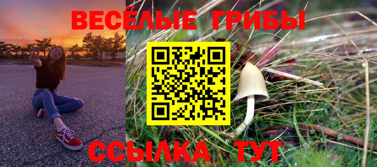 Псилоцибиновые грибы мухоморы Анапа