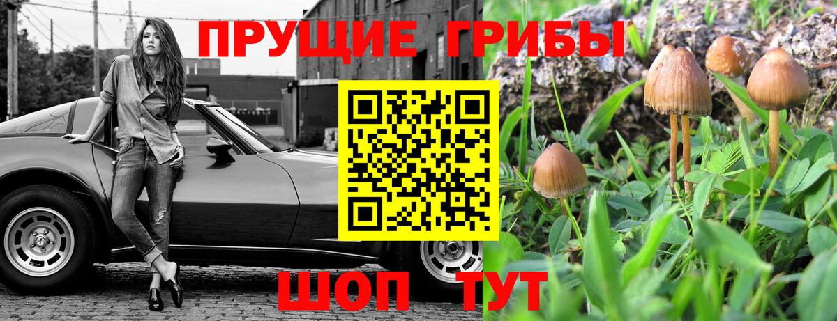Анапа  где продают наркотики  Псилоцибиновые грибы GOLDEN TEACHER  Вход с VPN  Псилоцибиновые грибы Psilocybine cubensis 